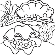 Top free printable shell coloring pages online