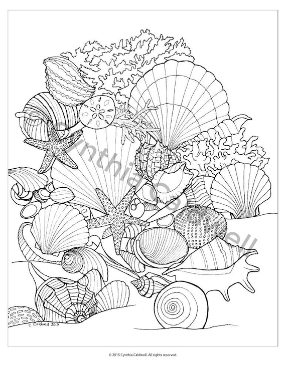 Seashells coloring page instant download