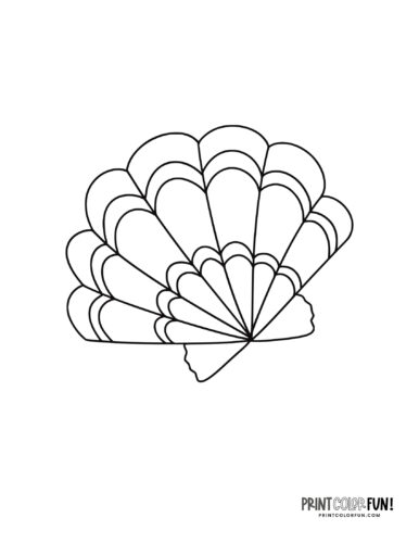 Sea shells coloring pages clip art at