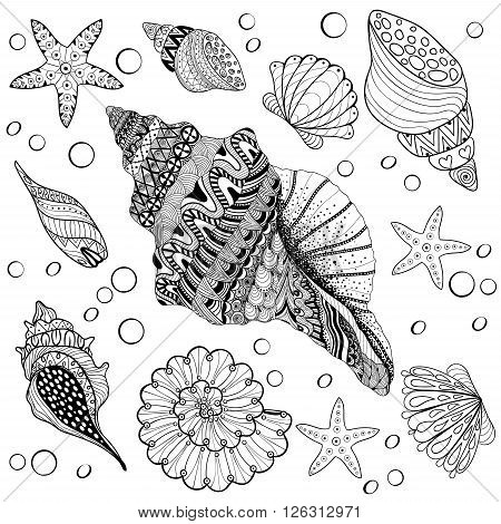 Vector set shells vector photo free trial bigstock