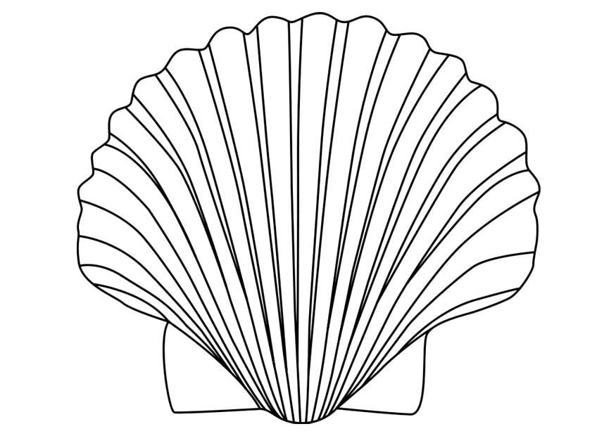 Coloring page shell of saint james