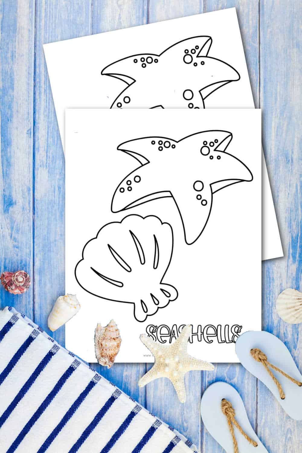 Free printable seashell coloring page