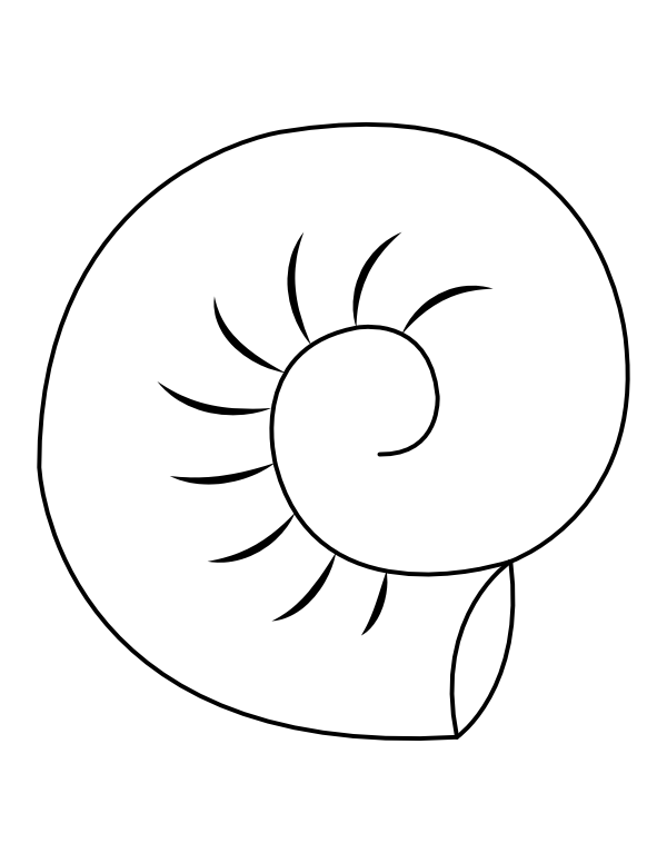 Printable simple seashell coloring page