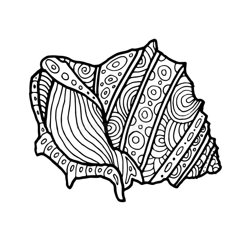 Decorative zentangle sea shell illustration outline drawing coloring book for adult and children coloring page stock vector