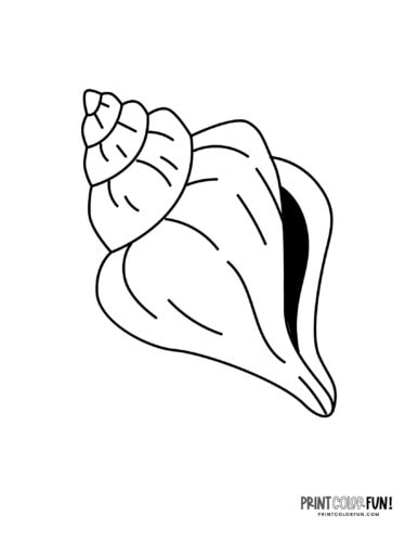 Sea shells coloring pages clip art at