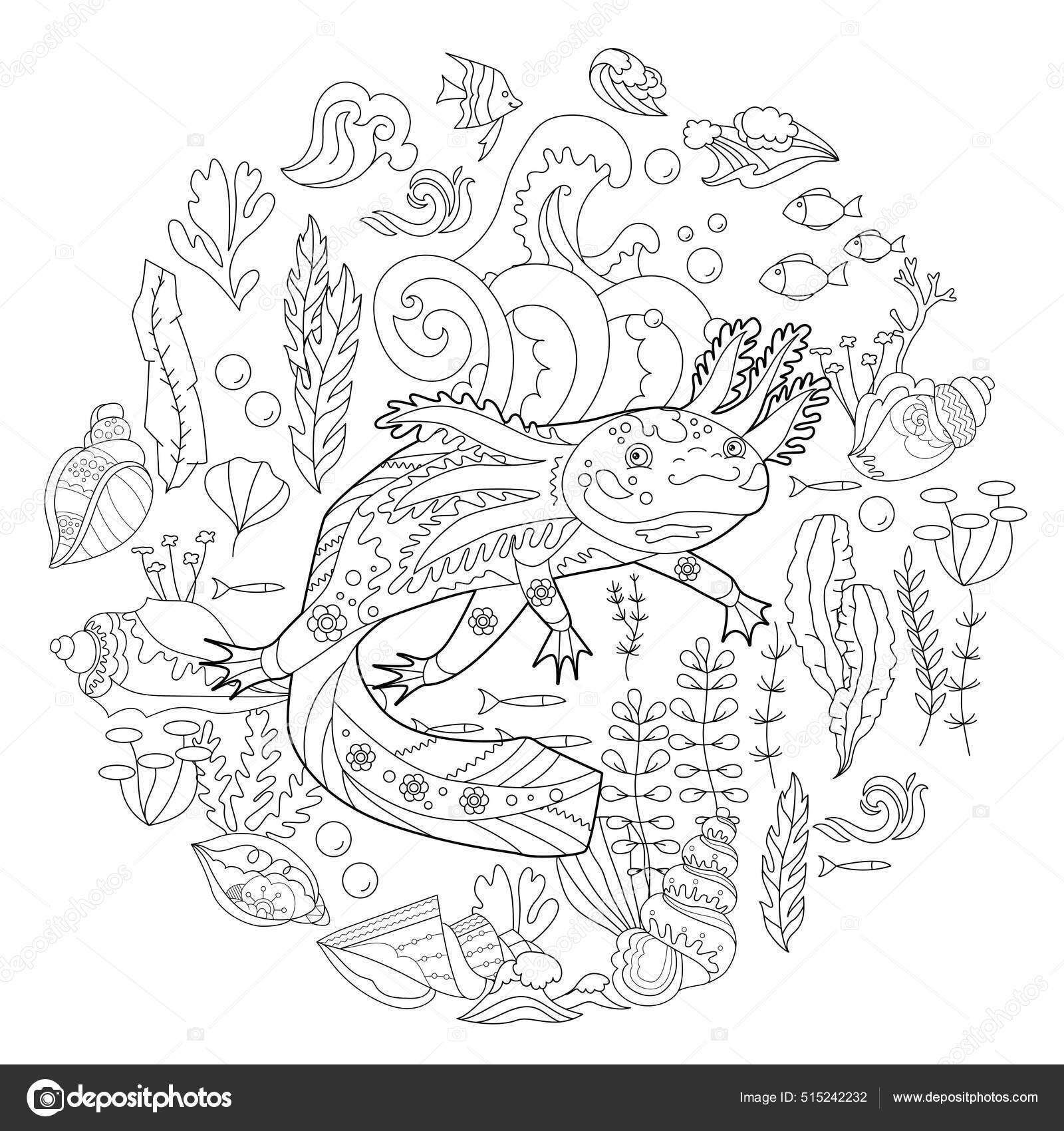 Contour linear illustration coloring book axolotl seaweed funny animal stress stock vector by nurrka