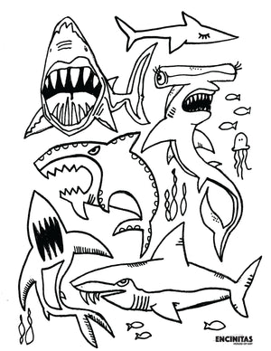 Shark coloring page â encinitas house of art