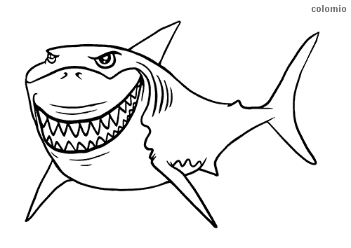 Sharks coloring pages free printable shark coloring sheets