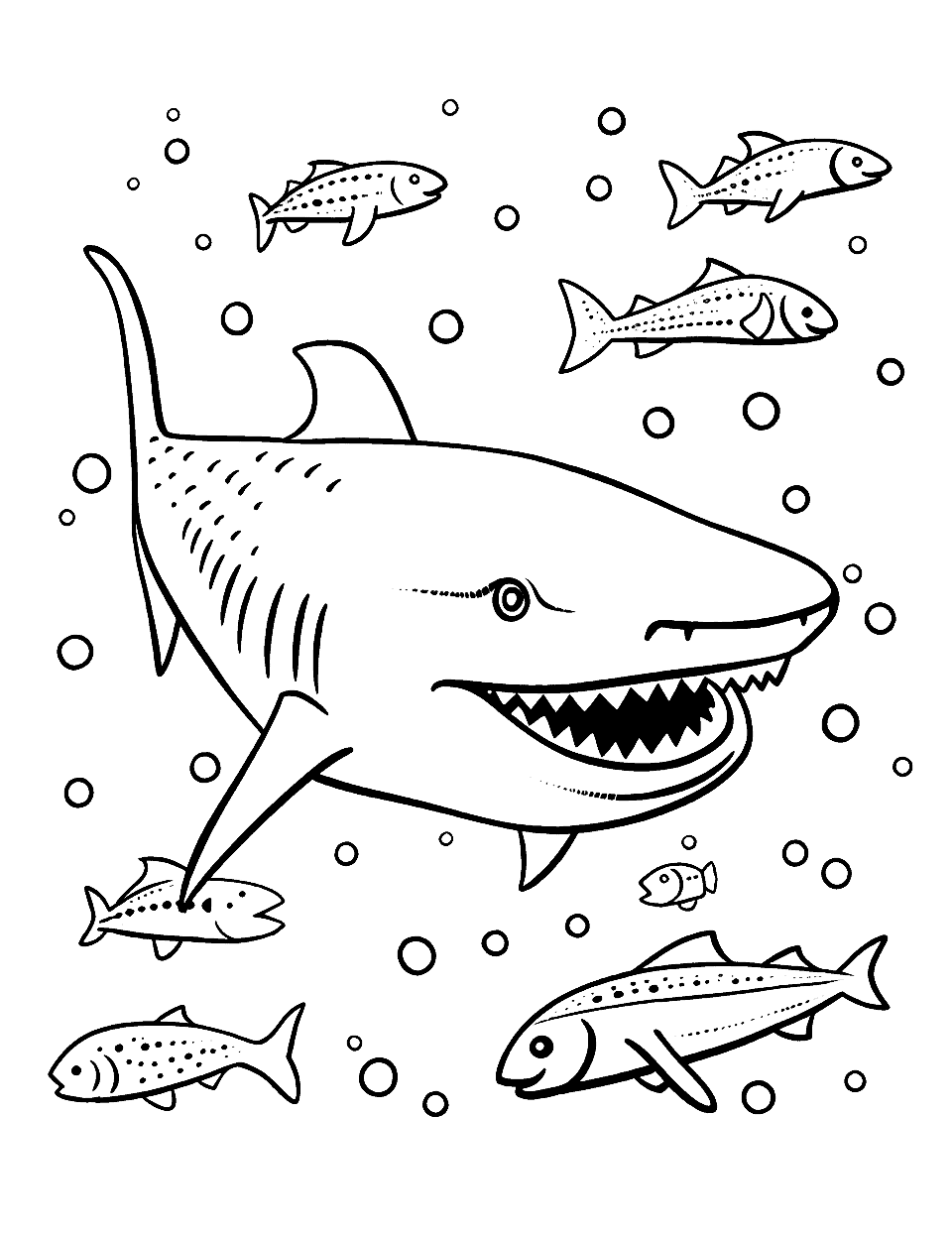 Shark coloring pages free printable sheets