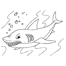 Top shark coloring pages for your little ones