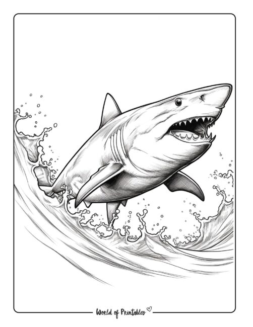 Shark coloring pages for kids adults