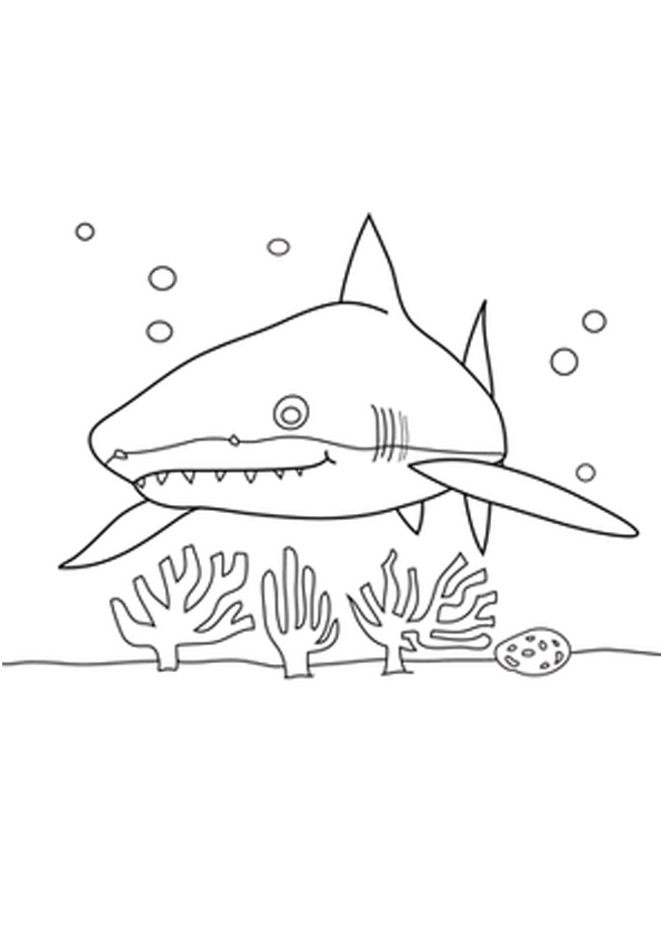 Coloring pages free printable shark coloring pages for kids