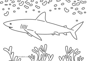 Free printable shark coloring pages for kids