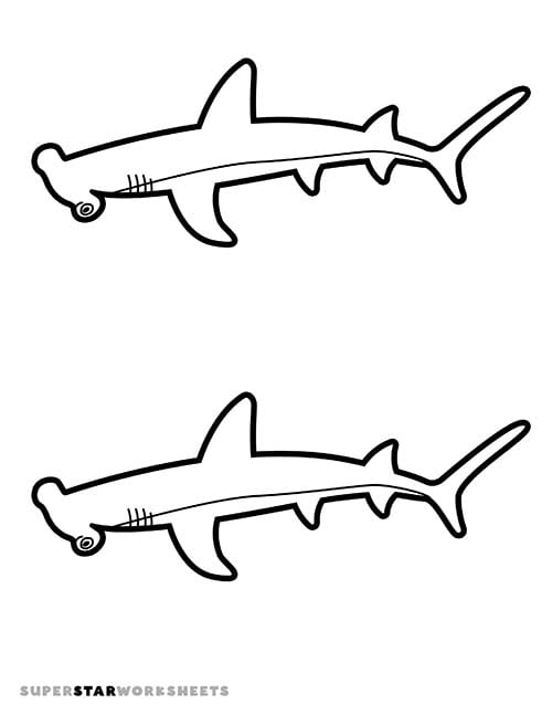 Shark template