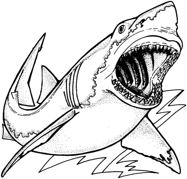 Shark shape s crafts colouring pages