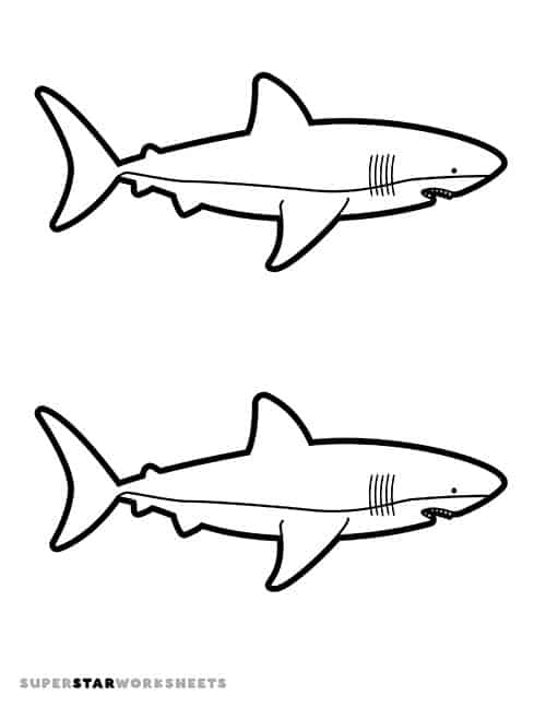 Shark template