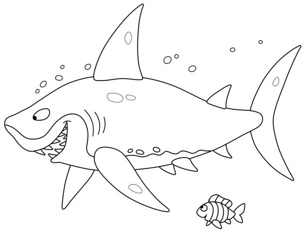 Shark coloring pages stock illustrations royalty