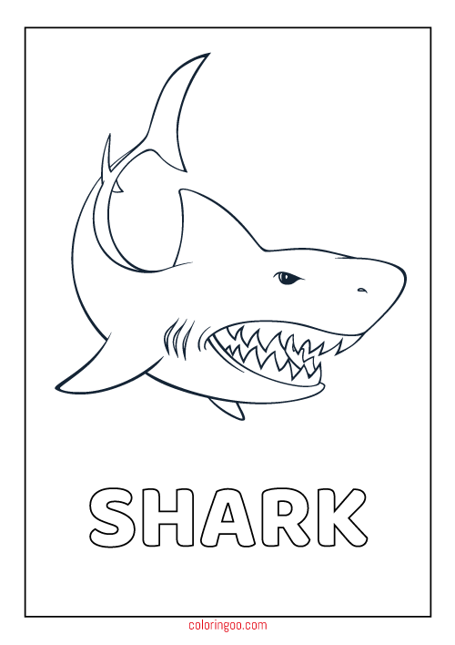 Discover the fascinating world of sharks with printable coloring pages