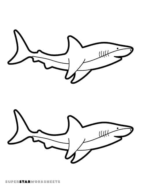 Shark template