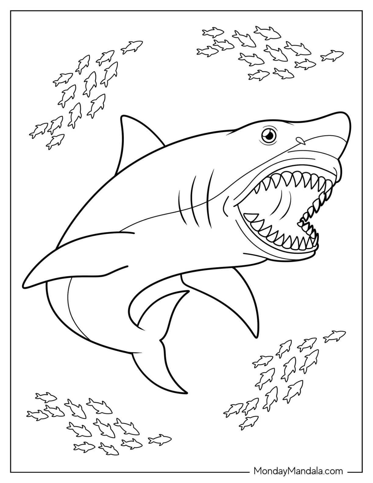 Shark coloring pages free pdf printables