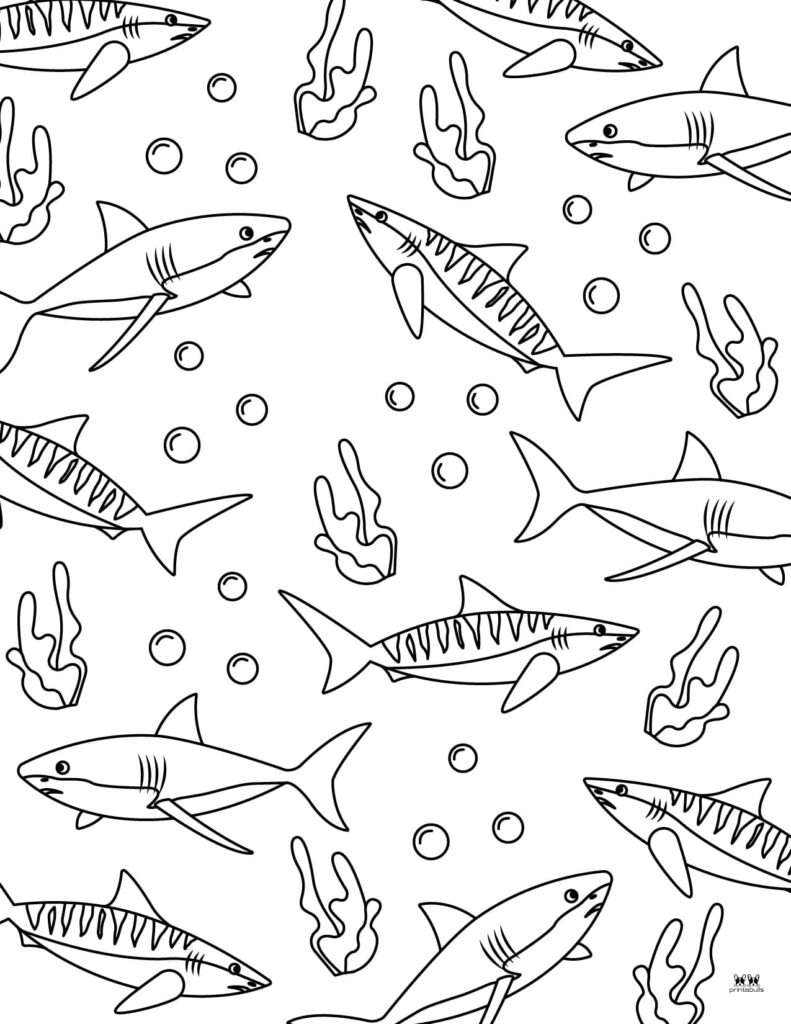 Shark coloring pages