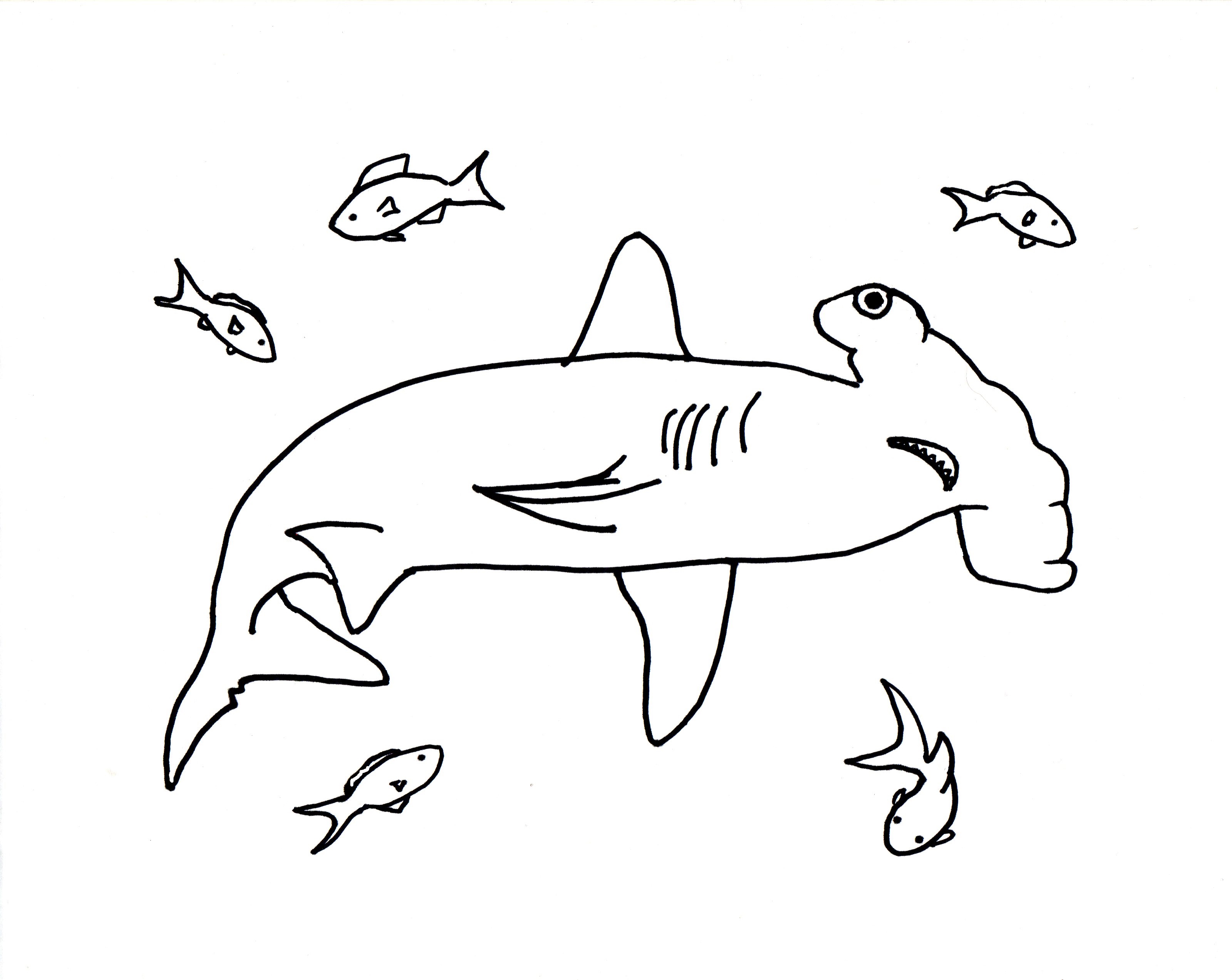 Hammerhead shark coloring page