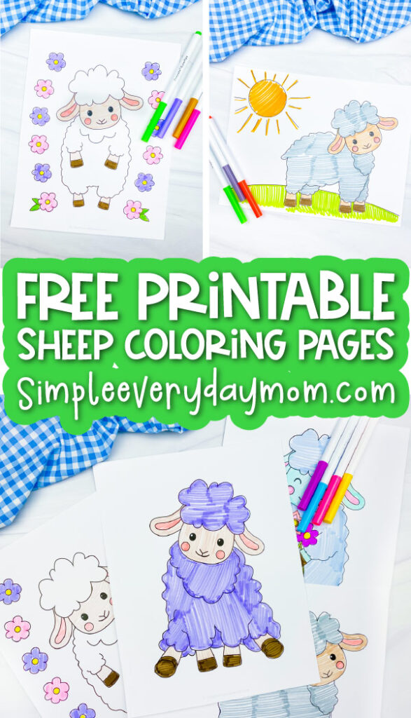 Free printable sheep coloring pages