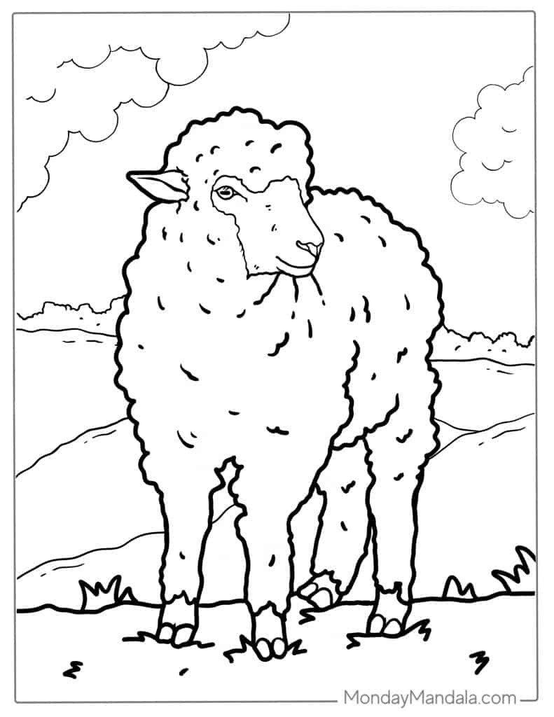 Sheep coloring pages free pdf printables
