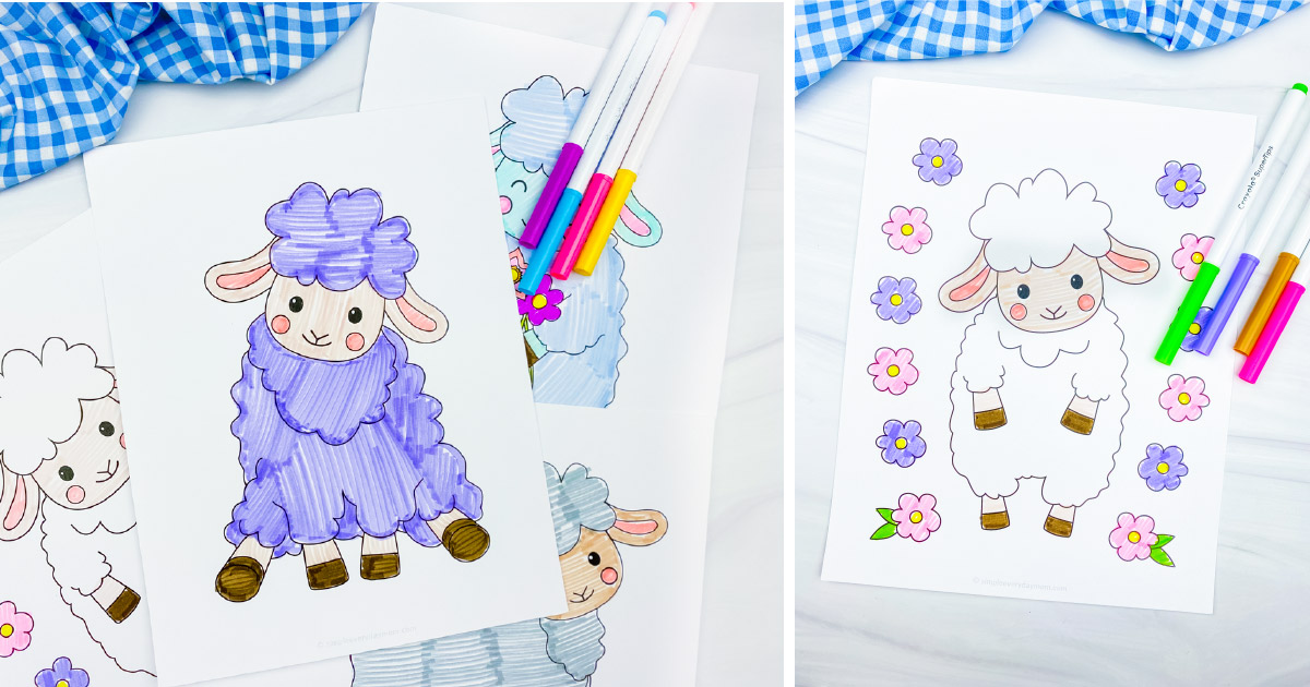 Free printable sheep coloring pages