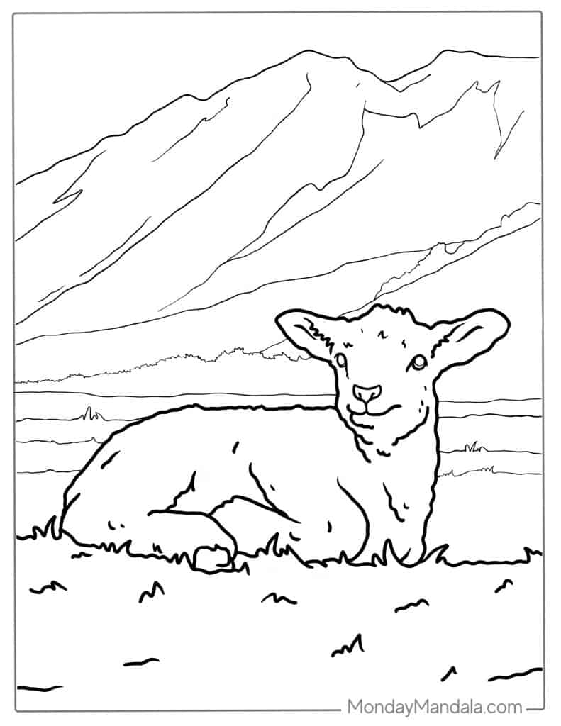 Sheep coloring pages free pdf printables