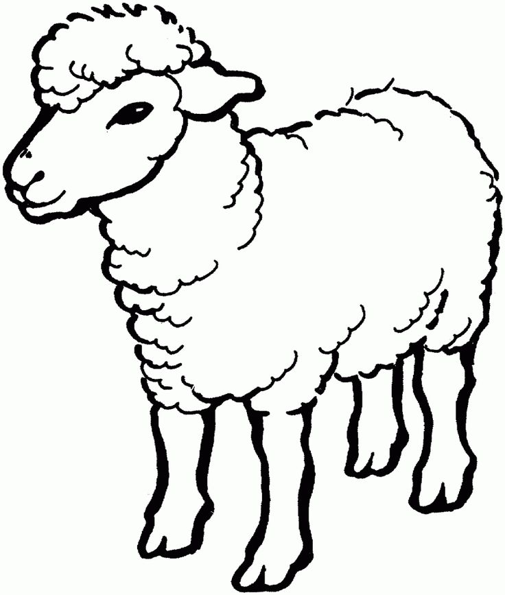 Free printable sheep coloring pages for kids animal coloring pages farm animal coloring pages sheep drawing