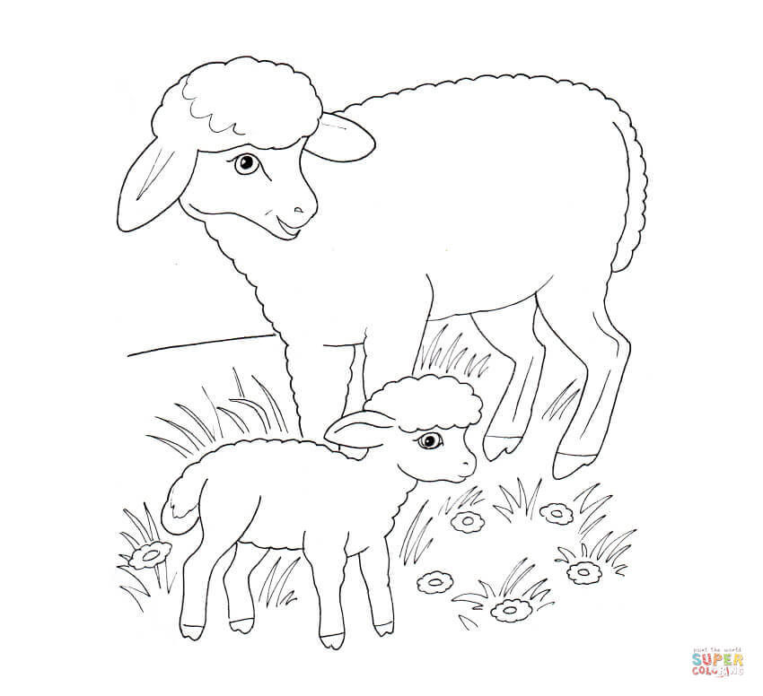 Sheep mother and lamb coloring page free printable coloring pages