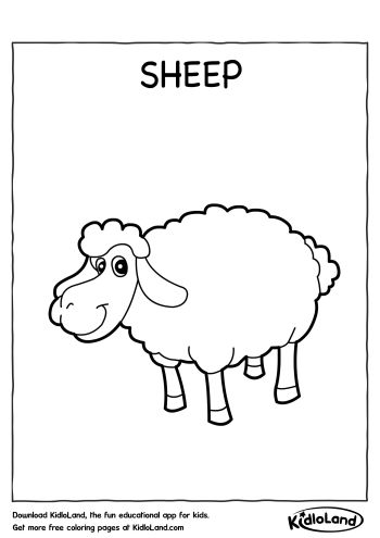 Download free sheep coloring page and educational activity worksheets for kids