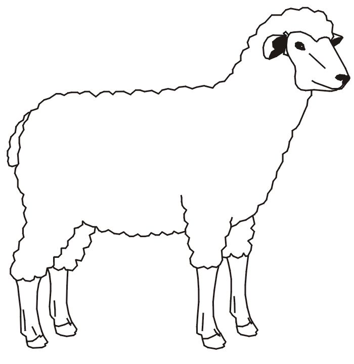 Home sheeps funny sheep cute coloring pages funny sheep coloring farm animal coloring pages animal outline animal coloring pages