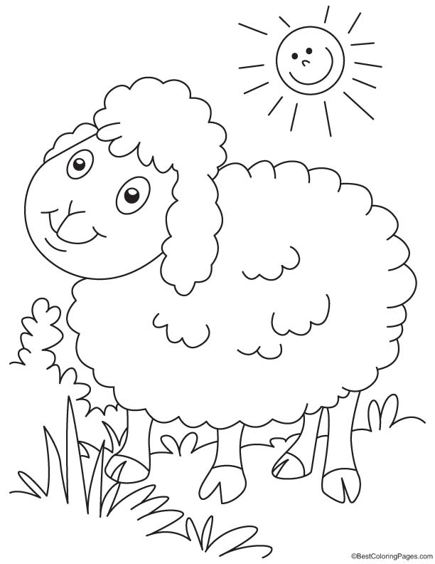 Sun bathing sheep coloring page download free sun bathing sheep coloring page for kids best coloring pages