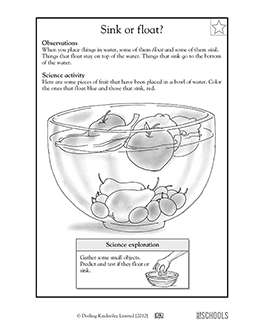 Sink or float st grade nd grade kindergarten science worksheet