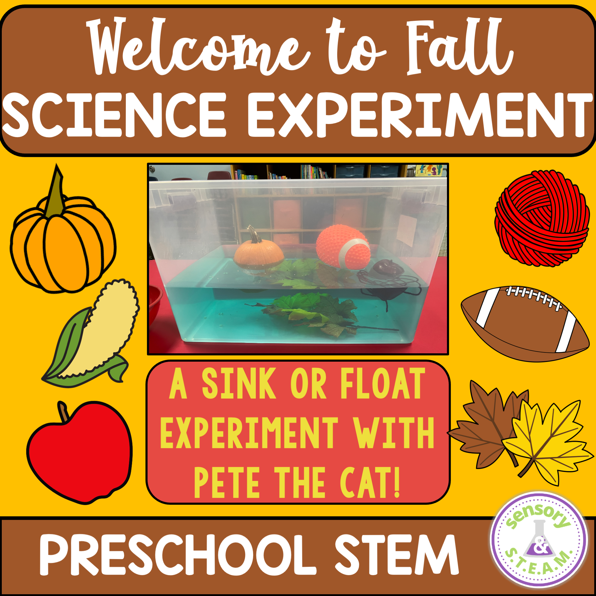 Fall themed sink or float science experiment for preschool pete book activity