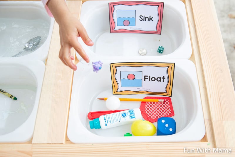 Sink or float experiment worksheet