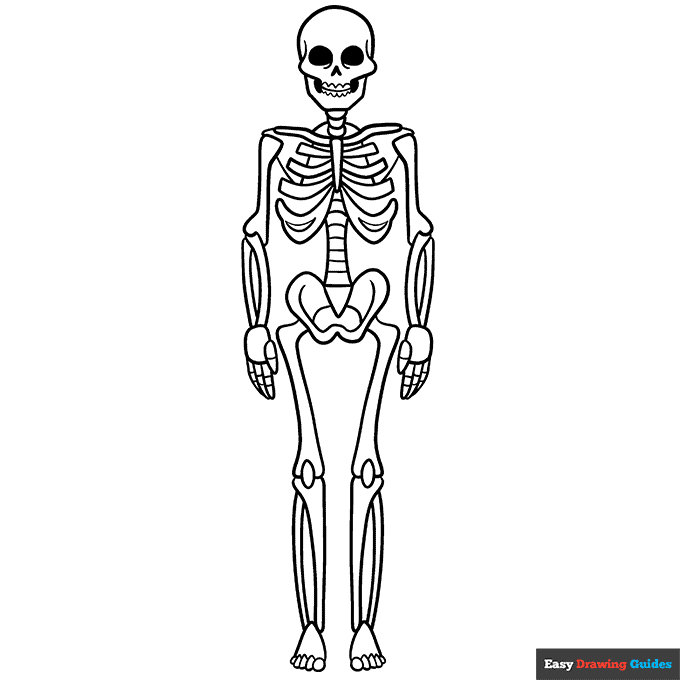 Skeleton coloring page easy drawing guides