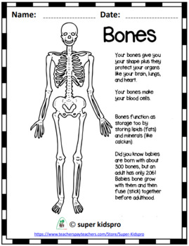 Printable skeletal system worksheet pages for kids by super kidspro