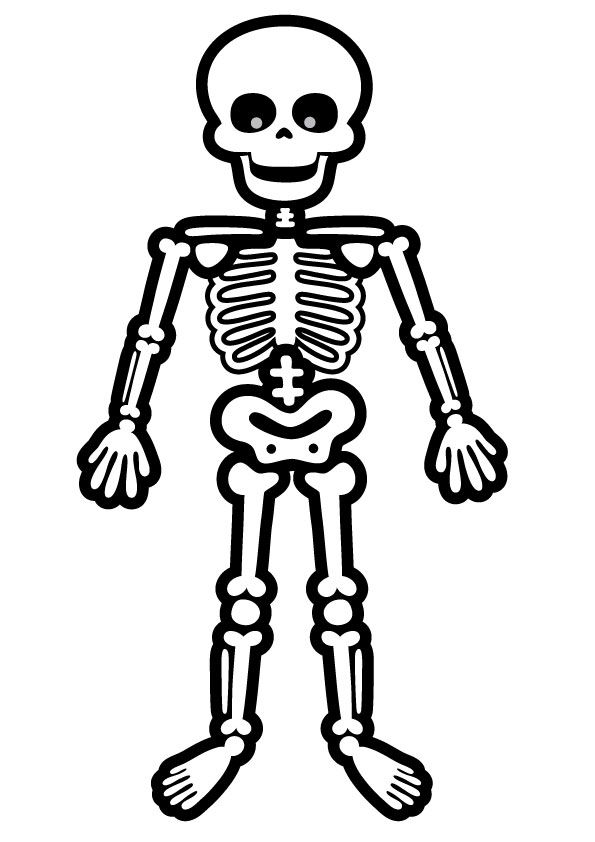 Best skeleton coloring pages for your toddler vãcut kesimleri boyama kitabä boyama kitaplarä