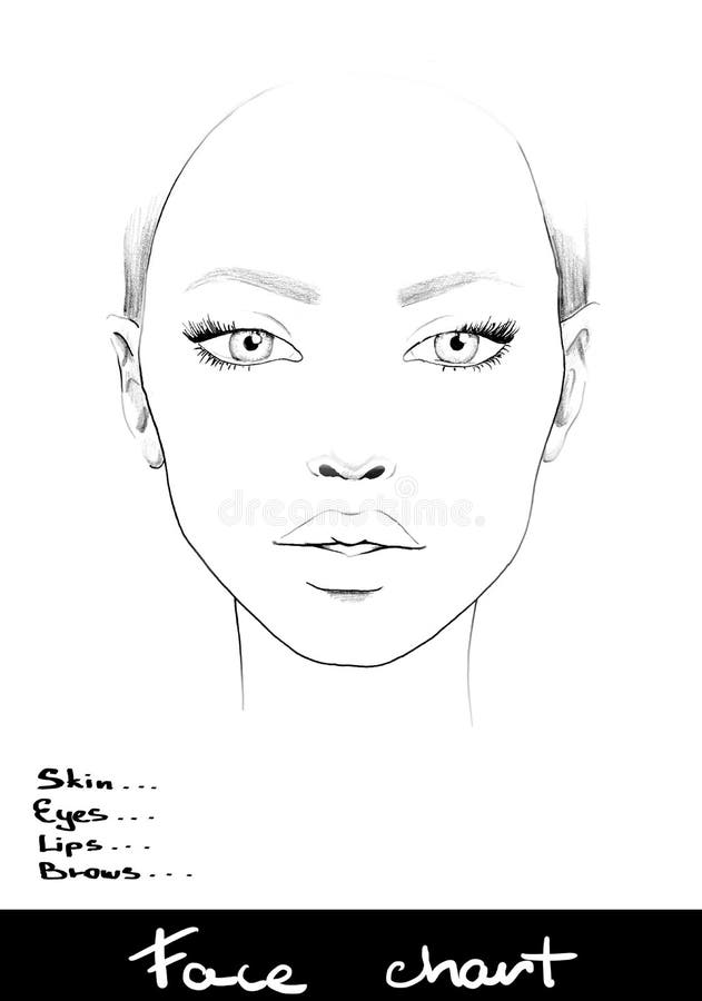 Face chart makeup artist blank beautiful woman portrait face chart makeup artist blank template stock illustration