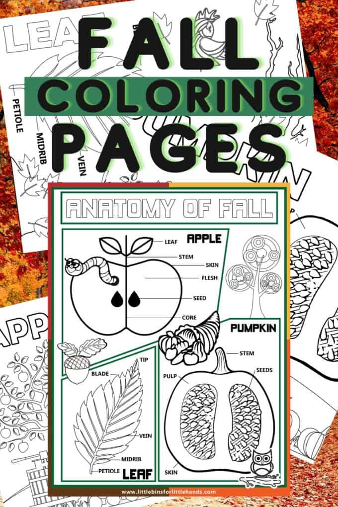 Printable fall coloring pages