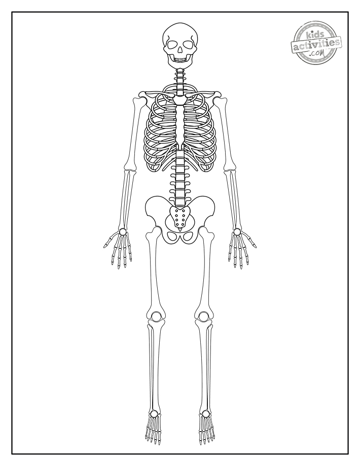 Best free skeleton coloring pages kids activities blog