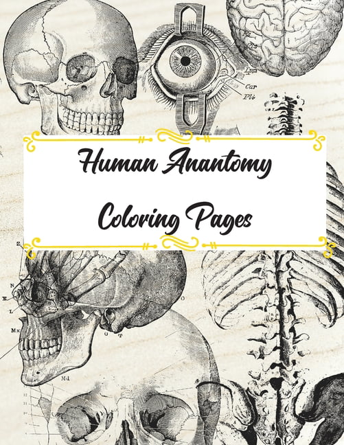 Human anatomy coloring pages paperback