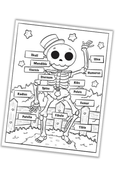 Human skeleton coloring page â