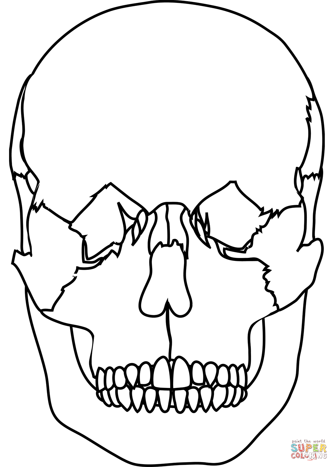 Front view of human skull coloring page free printable coloring pages