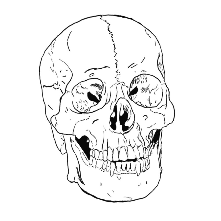 Skull coloring pages printable for free download