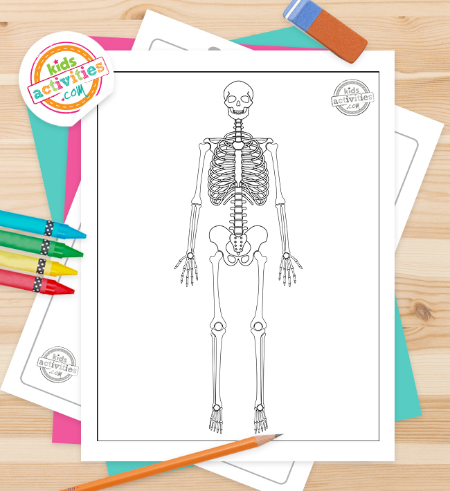 Best free skeleton coloring pages kids activities blog