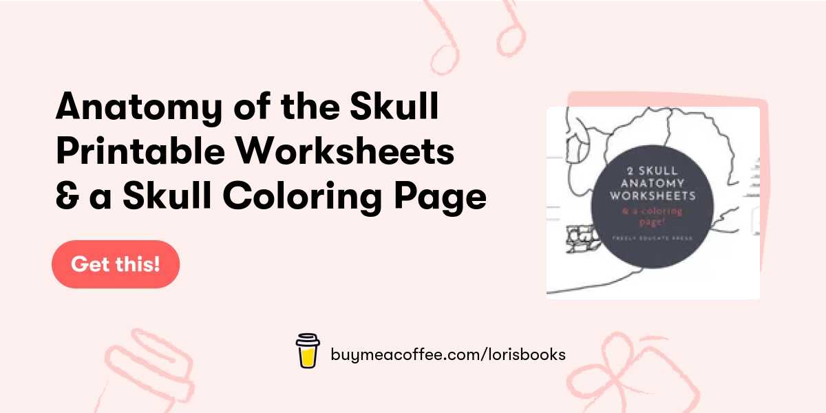 Anatomy of the skull printable worksheets a skull coloring page